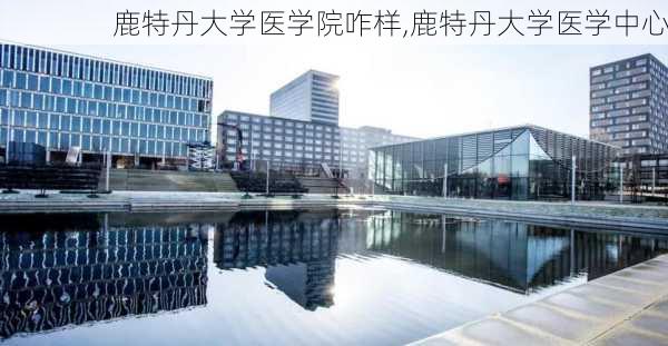 鹿特丹大学医学院咋样,鹿特丹大学医学中心