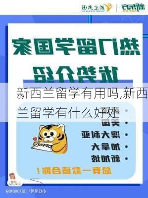 新西兰留学有用吗,新西兰留学有什么好处