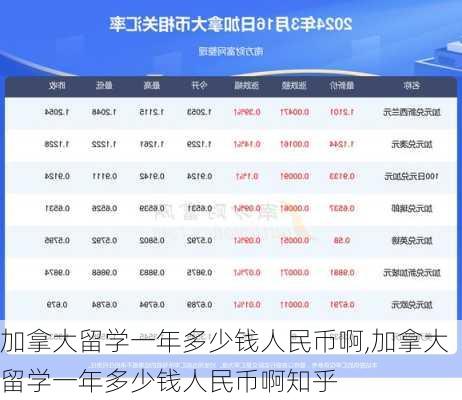 加拿大留学一年多少钱人民币啊,加拿大留学一年多少钱人民币啊知乎