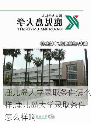 鹿儿岛大学录取条件怎么样,鹿儿岛大学录取条件怎么样啊