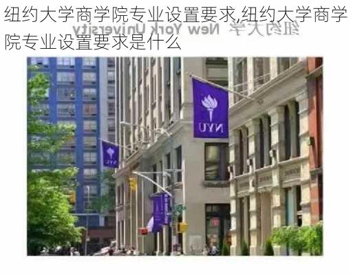 纽约大学商学院专业设置要求,纽约大学商学院专业设置要求是什么