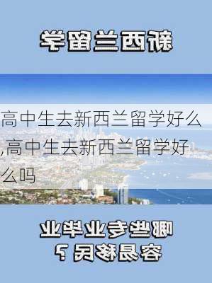 高中生去新西兰留学好么,高中生去新西兰留学好么吗