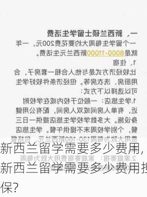 新西兰留学需要多少费用,新西兰留学需要多少费用担保?