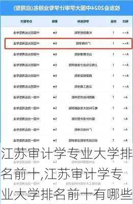 江苏审计学专业大学排名前十,江苏审计学专业大学排名前十有哪些