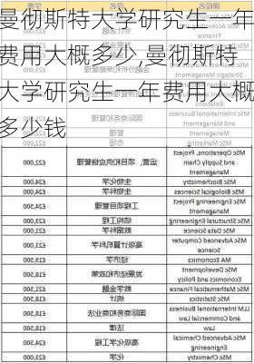 曼彻斯特大学研究生一年费用大概多少,曼彻斯特大学研究生一年费用大概多少钱