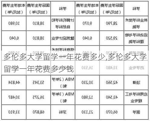 多伦多大学留学一年花费多少,多伦多大学留学一年花费多少钱