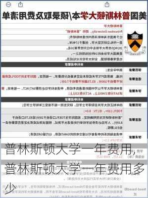 普林斯顿大学一年费用,普林斯顿大学一年费用多少