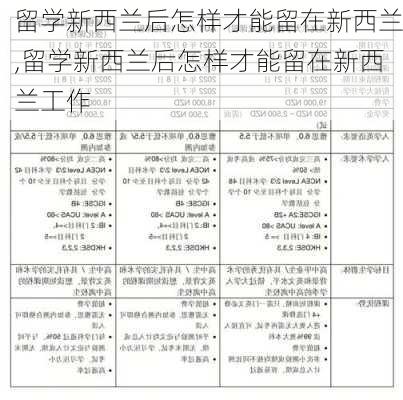 留学新西兰后怎样才能留在新西兰,留学新西兰后怎样才能留在新西兰工作