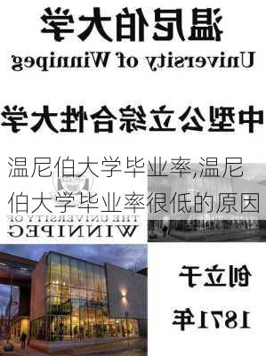 温尼伯大学毕业率,温尼伯大学毕业率很低的原因