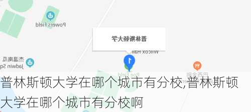 普林斯顿大学在哪个城市有分校,普林斯顿大学在哪个城市有分校啊