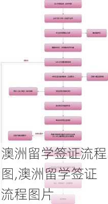 澳洲留学签证流程图,澳洲留学签证流程图片