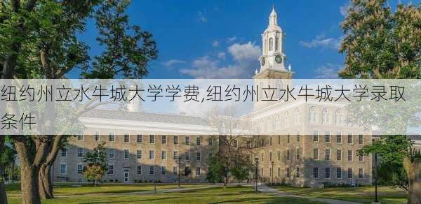 纽约州立水牛城大学学费,纽约州立水牛城大学录取条件