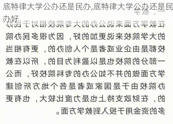 底特律大学公办还是民办,底特律大学公办还是民办好