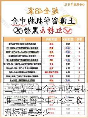 上海留学中介公司收费标准,上海留学中介公司收费标准是多少