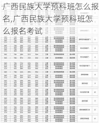 广西民族大学预科班怎么报名,广西民族大学预科班怎么报名考试