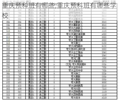 重庆预科班有哪些,重庆预科班有哪些学校