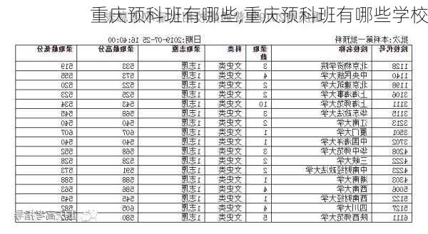 重庆预科班有哪些,重庆预科班有哪些学校