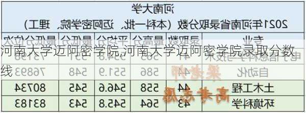 河南大学迈阿密学院,河南大学迈阿密学院录取分数线