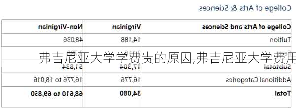 弗吉尼亚大学学费贵的原因,弗吉尼亚大学费用