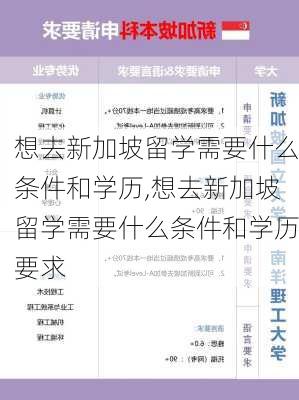 想去新加坡留学需要什么条件和学历,想去新加坡留学需要什么条件和学历要求