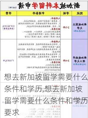 想去新加坡留学需要什么条件和学历,想去新加坡留学需要什么条件和学历要求