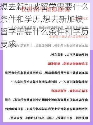 想去新加坡留学需要什么条件和学历,想去新加坡留学需要什么条件和学历要求