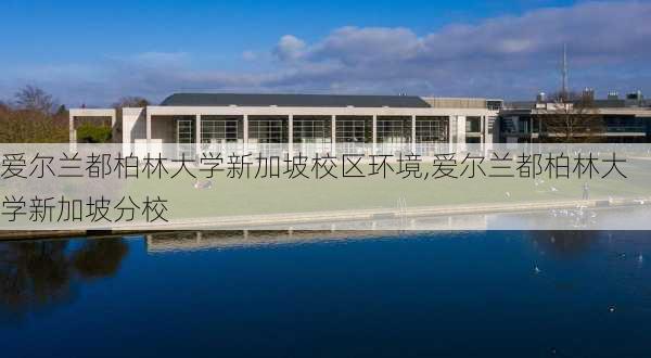 爱尔兰都柏林大学新加坡校区环境,爱尔兰都柏林大学新加坡分校