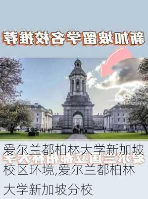 爱尔兰都柏林大学新加坡校区环境,爱尔兰都柏林大学新加坡分校