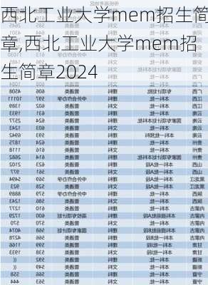 西北工业大学mem招生简章,西北工业大学mem招生简章2024