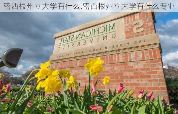 密西根州立大学有什么,密西根州立大学有什么专业