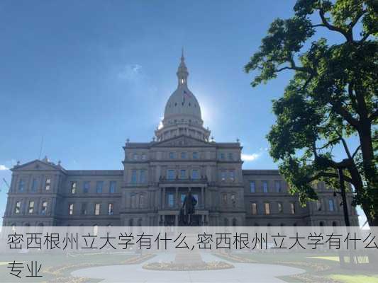 密西根州立大学有什么,密西根州立大学有什么专业