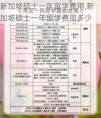 新加坡硕士一年留学费用,新加坡硕士一年留学费用多少