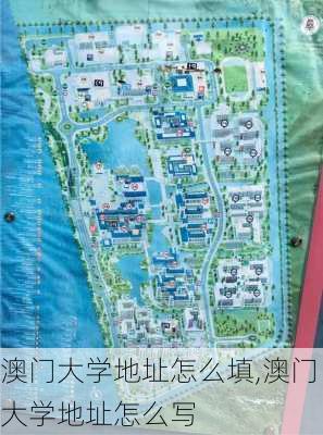 澳门大学地址怎么填,澳门大学地址怎么写