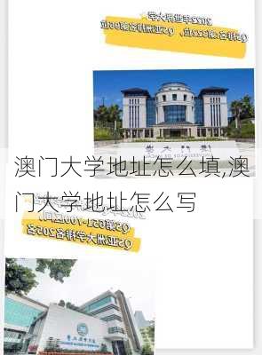 澳门大学地址怎么填,澳门大学地址怎么写