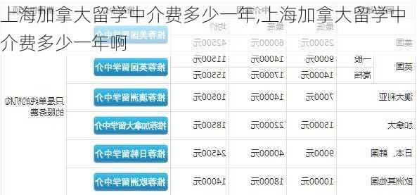 上海加拿大留学中介费多少一年,上海加拿大留学中介费多少一年啊