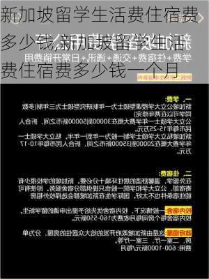 新加坡留学生活费住宿费多少钱,新加坡留学生活费住宿费多少钱一个月