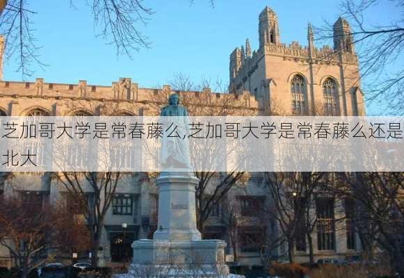 芝加哥大学是常春藤么,芝加哥大学是常春藤么还是北大