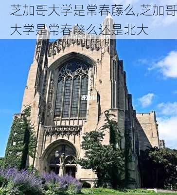 芝加哥大学是常春藤么,芝加哥大学是常春藤么还是北大