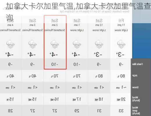 加拿大卡尔加里气温,加拿大卡尔加里气温查询