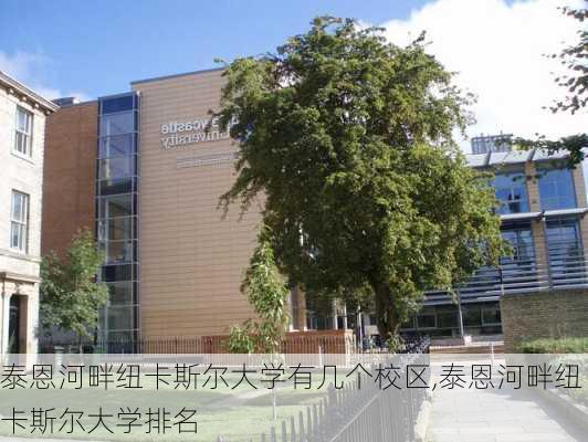 泰恩河畔纽卡斯尔大学有几个校区,泰恩河畔纽卡斯尔大学排名