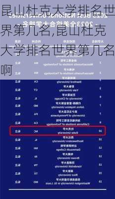 昆山杜克大学排名世界第几名,昆山杜克大学排名世界第几名啊