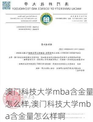 澳门科技大学mba含金量怎么样,澳门科技大学mba含金量怎么样啊