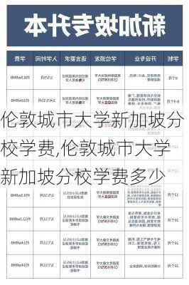 伦敦城市大学新加坡分校学费,伦敦城市大学新加坡分校学费多少