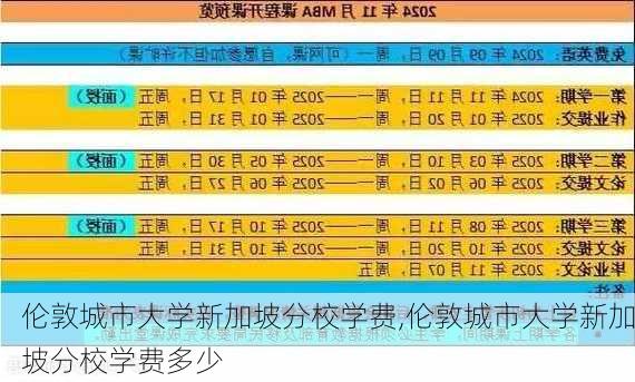 伦敦城市大学新加坡分校学费,伦敦城市大学新加坡分校学费多少