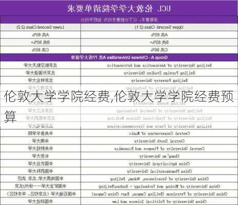 伦敦大学学院经费,伦敦大学学院经费预算