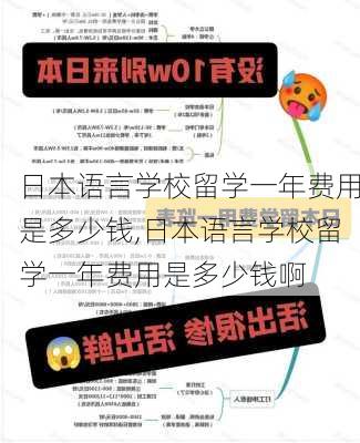 日本语言学校留学一年费用是多少钱,日本语言学校留学一年费用是多少钱啊