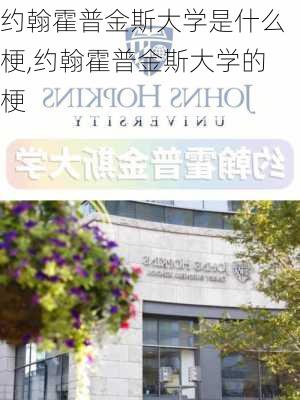 约翰霍普金斯大学是什么梗,约翰霍普金斯大学的梗