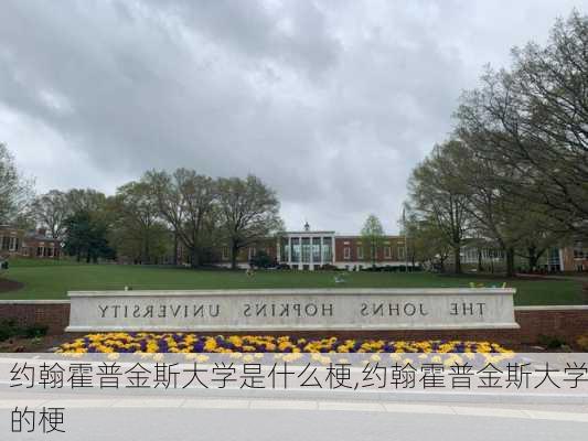 约翰霍普金斯大学是什么梗,约翰霍普金斯大学的梗