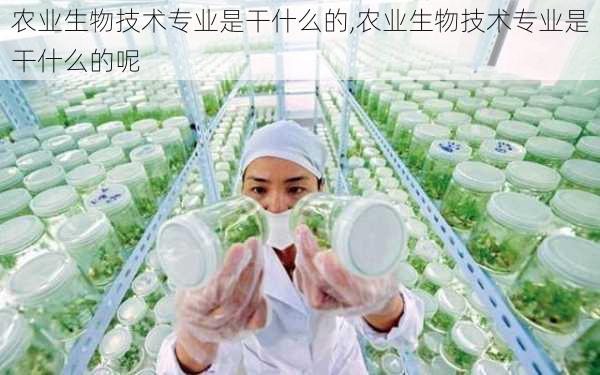 农业生物技术专业是干什么的,农业生物技术专业是干什么的呢