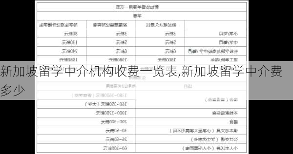 新加坡留学中介机构收费一览表,新加坡留学中介费多少